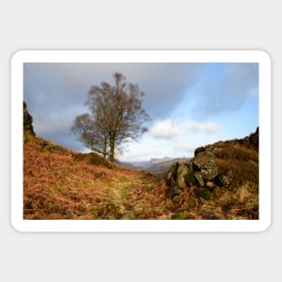 Walking over Holme Fell Sticker